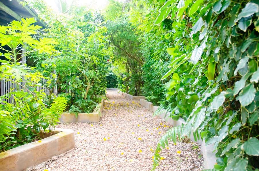 Weg durch den Garten