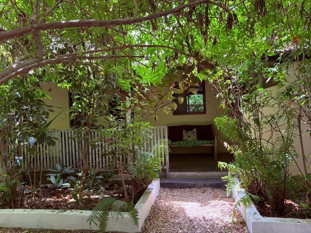 Garden bungalow surrounded by greenery